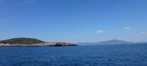 P1020252