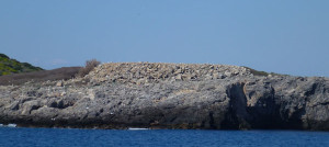 P1020253