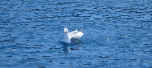 P1020259