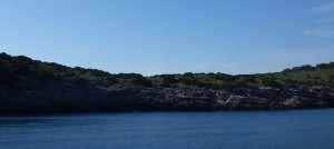 P1020300