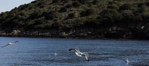 paesaggio_4