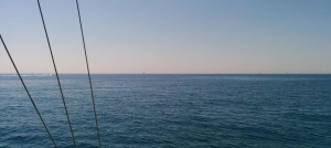 IMG_20140719_115845
